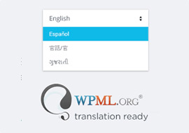 Support WPML