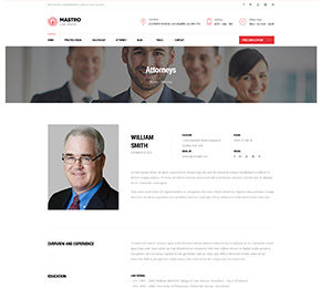 mastor law wordpress theme